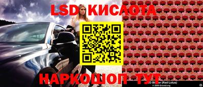 СК Кимры