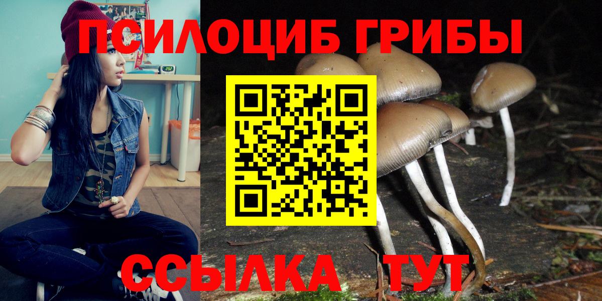 Псилоцибиновые грибы Cubensis Арзамас