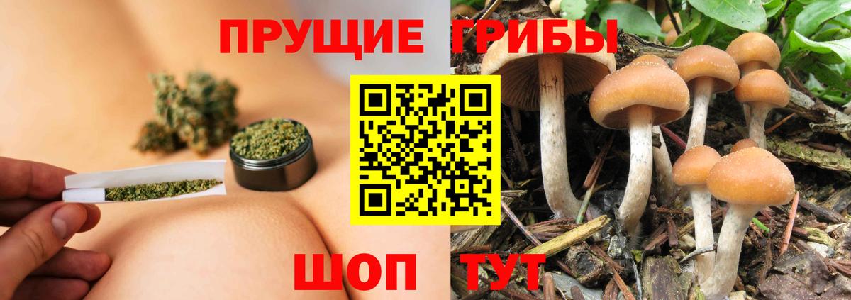 Псилоцибиновые грибы мицелий  Вход с VPN  Арзамас 